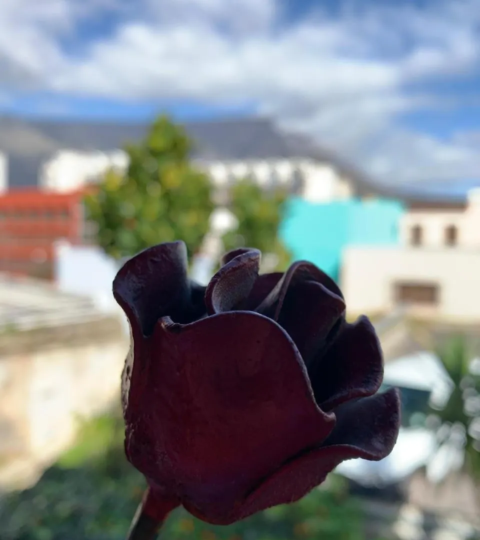 La Rose B&B Cape Town