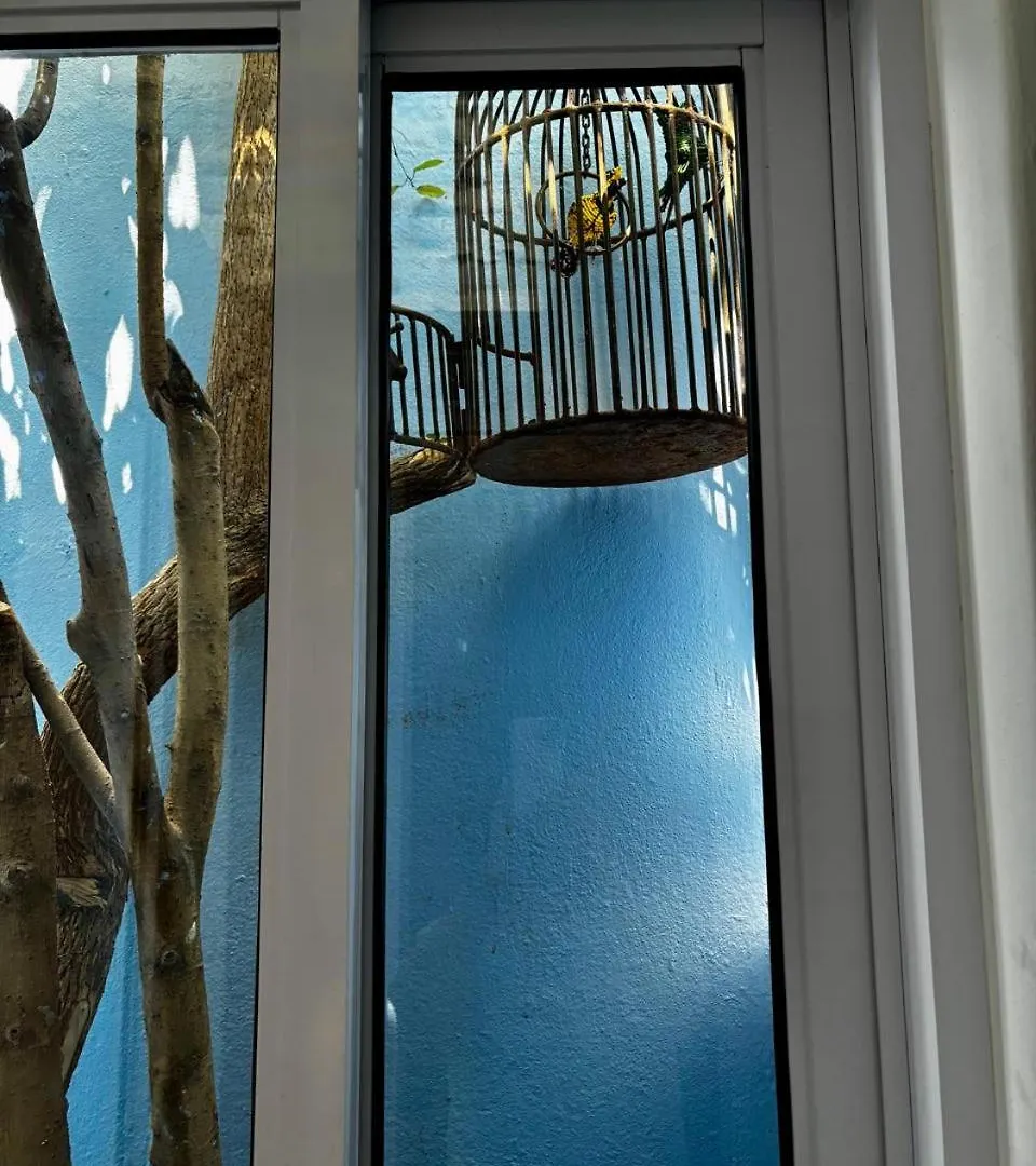 La Rose B&B Cape Town 3*,